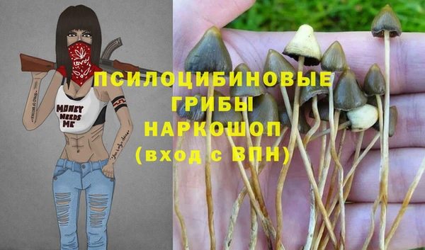 apvp Верея