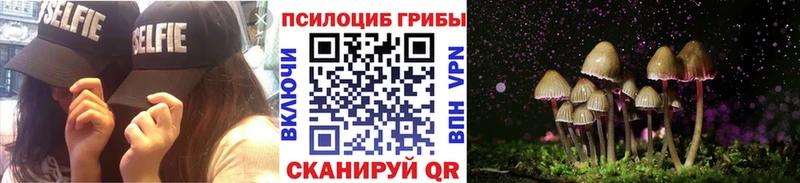 цены наркотик  МЕГА ссылки  Галлюциногенные грибы мухоморы  Петушки 